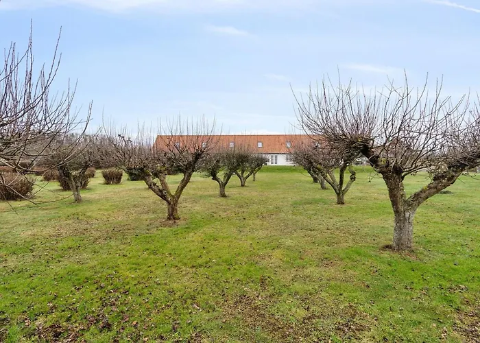 Markus - 300m From The Sea By Interhome Appartement Allinge-Sandvig